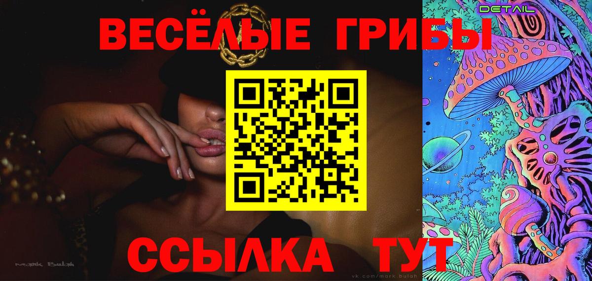 дарнет шоп  Вход с VPN  Моздок  Галлюциногенные грибы MAGIC MUSHROOMS 